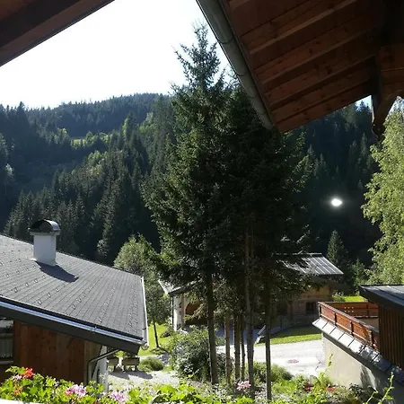 Haus Bergliebe 招待所 费尔兹姆斯