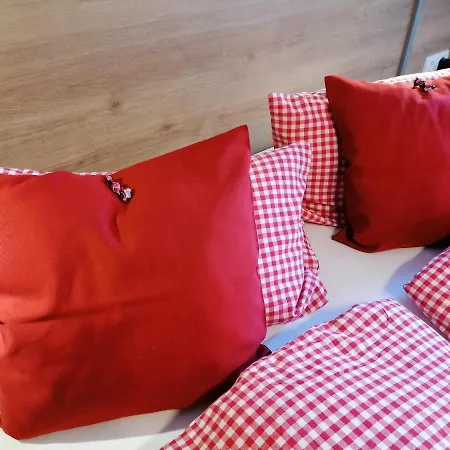 Haus Bergliebe 招待所 费尔兹姆斯