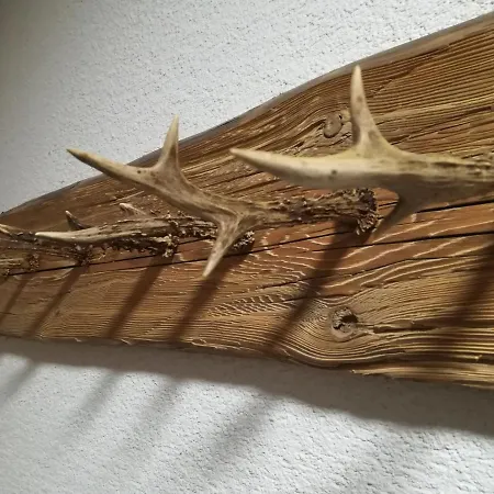 招待所 Haus Bergliebe