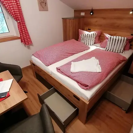 Haus Bergliebe 招待所 费尔兹姆斯