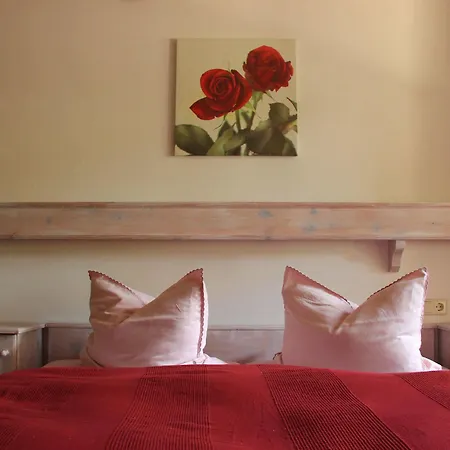 Haus Bergliebe 3* 费尔兹姆斯