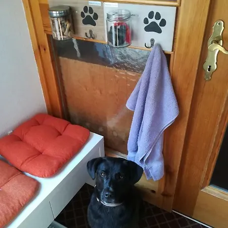 招待所 Haus Bergliebe 3*