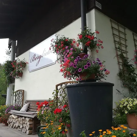 Haus Bergliebe 3* 费尔兹姆斯