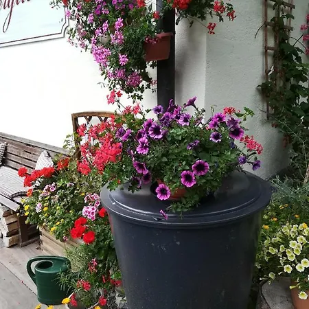 Haus Bergliebe 3*