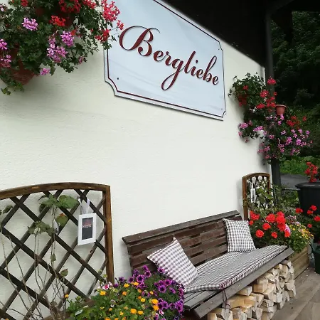 Haus Bergliebe 3*