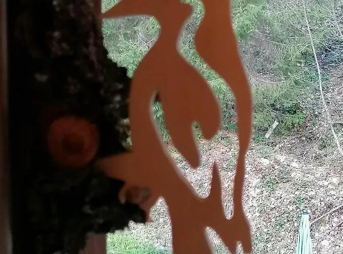 게스트하우스 Haus Bergliebe 3*