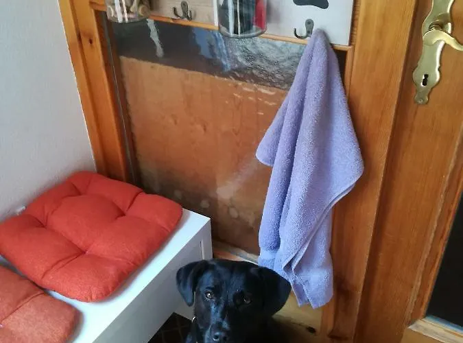 게스트하우스 Haus Bergliebe 3*